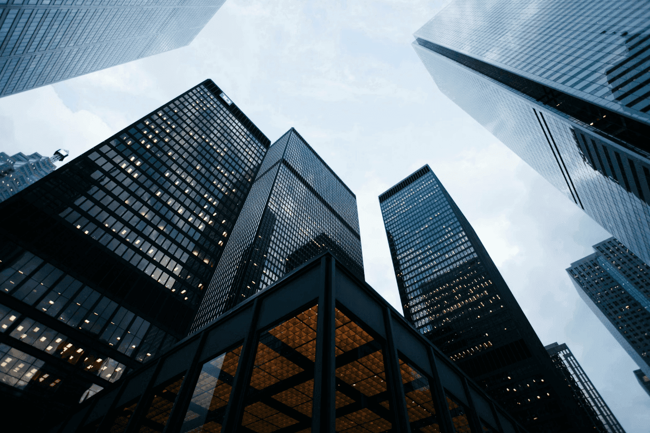 Business Visa