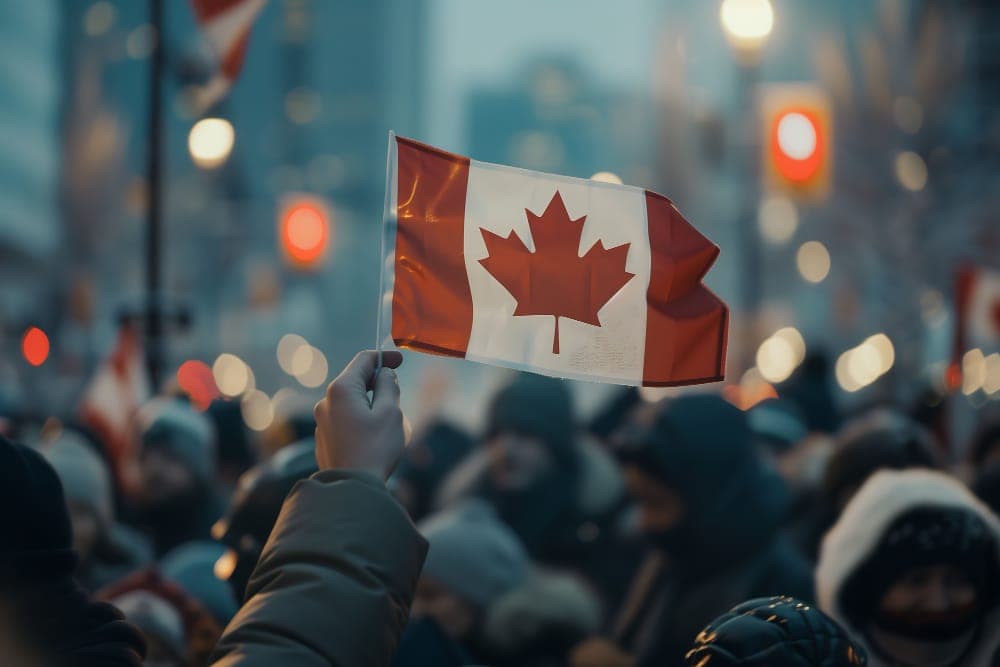 Professional immigration consultation